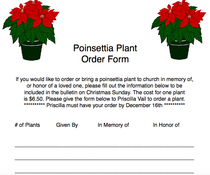 Screen Shot 2018-11-27 at 11.55.39 AM